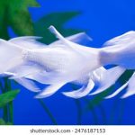 620开奖号前后走势深度解析与预测 cfmw6u81