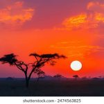 604开奖网官方开奖结果查询与最新资讯 g70jl8of