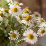 61开奖结果揭晓:幸运号码正式公布 hdyeb