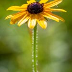 614开奖号前后走势分析与预测 jbtfdzr9