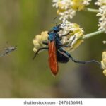 NBA上海站巅峰对决直播:巨星云集引爆篮球热潮 45ahin1qci